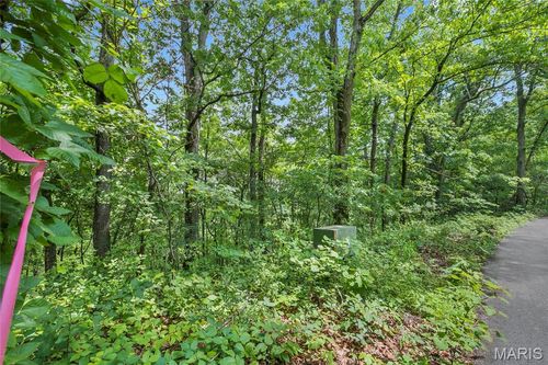 8.5 acres Clermont Drive, Festus, MO, 63028 | Card Image
