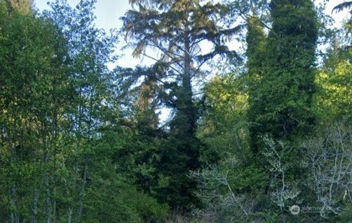 0 Cosgrove Street, Hoquiam, WA, 98550 | Card Image