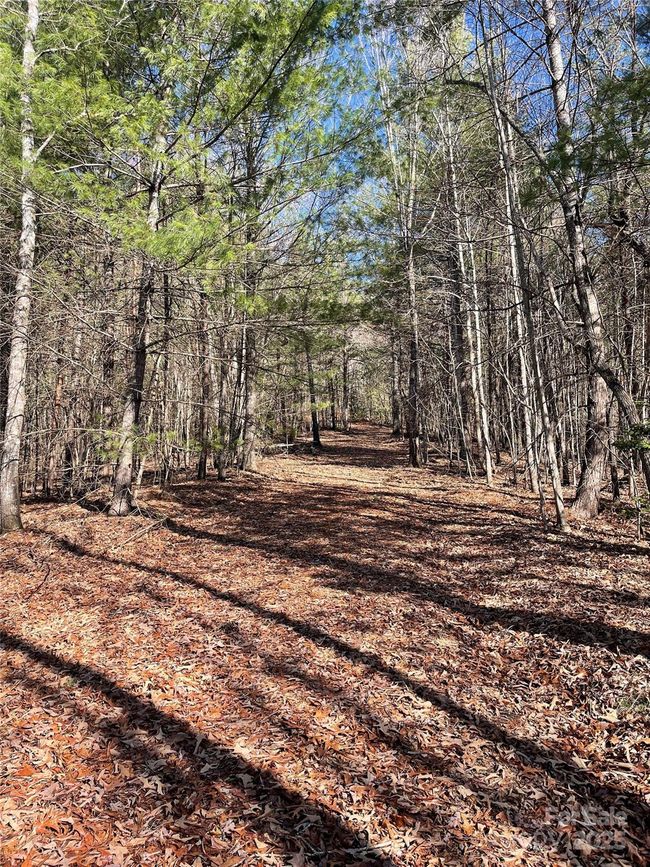 0000 Pine Log Rd, Home with 0 bedrooms, 0 bathrooms and null parking in Warne NC | Image 7