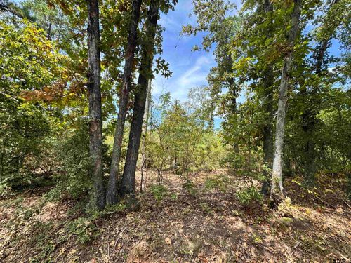 TBD County Road 222 N, Henderson, TX, 75652 | Card Image