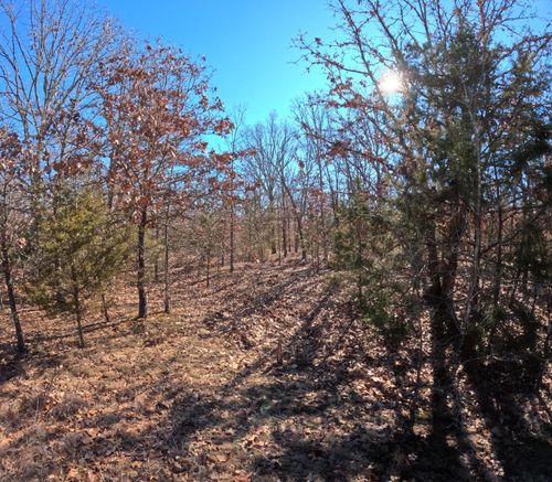 Tbd 1 Glory Lane, Lebanon, MO, 65536 | Card Image