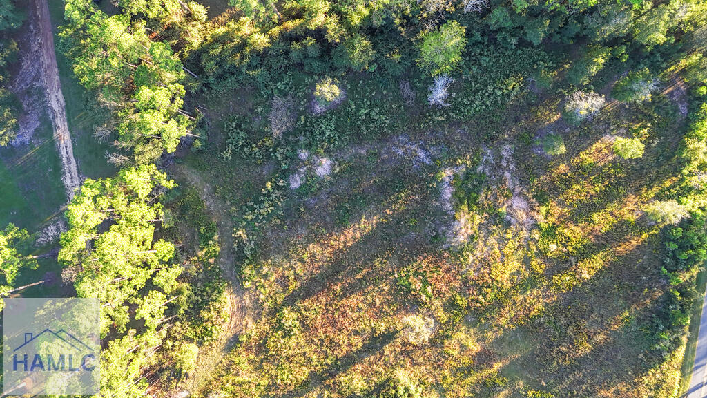 Land in Jesup 5