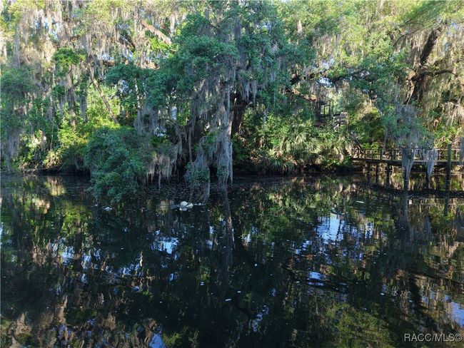 12445 W Foss Groves Path, Home with 0 bedrooms, 0 bathrooms and null parking in INGLIS FL | Image 5