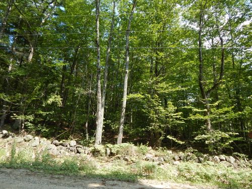 6 Maplecrest Road, Parsonsfield, ME, 04047 | Card Image