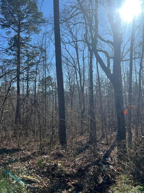 000 Peyton Creek Rd, Dennard, AR, 72629 | Card Image