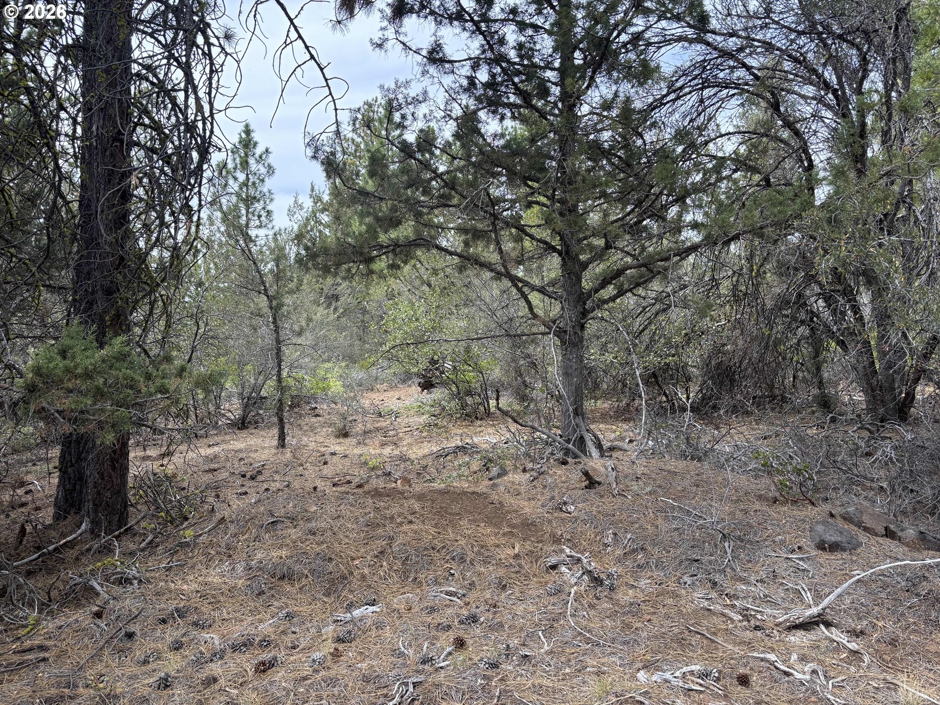 Land in Bonanza 3