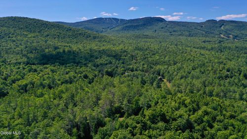 49 The Woods, North Creek, NY, 12853 | Card Image