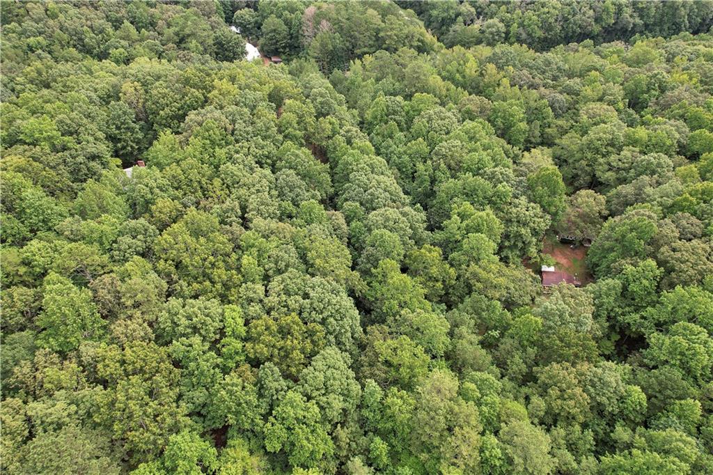 Land in Douglasville 5