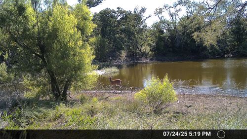 N/A Wayland Ranches, Breckenridge, TX, 76424 | Card Image