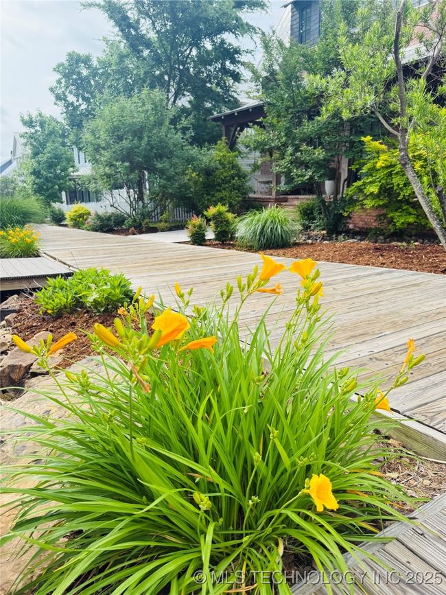 Carton Landing Entry | Image 56