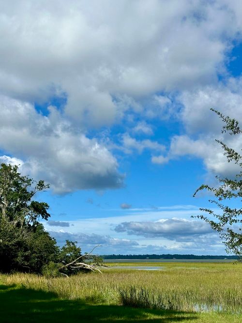 lot-15-7950 Hopkins Pl Drive, Edisto Island, SC, 29438 | Card Image