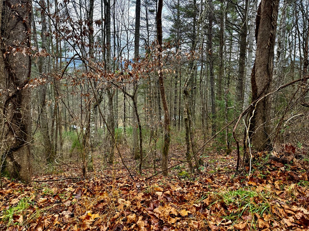 Land in Franklin 3