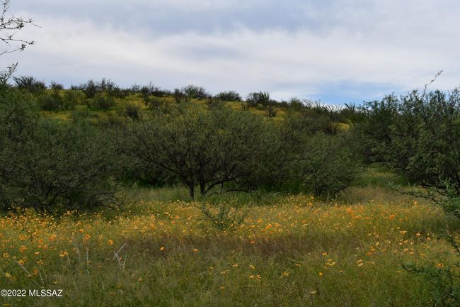 DSC_0975 | Image 12