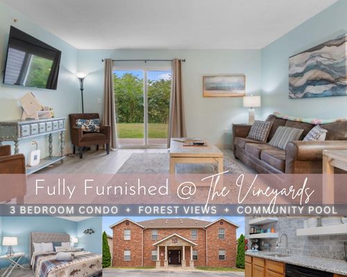 2-2917 Vineyards Pkwy, Branson, MO, 65616-4116 | Card Image