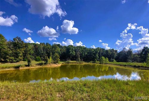 1710 Ripley 142w-7, Gatewood, MO, 63942-7694 | Card Image