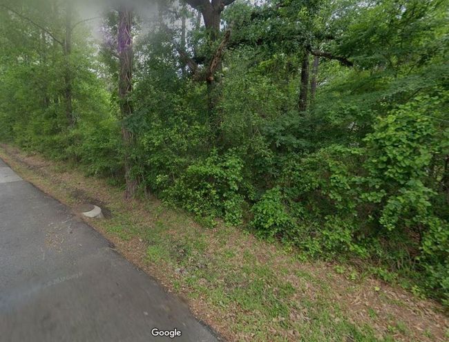 0 N Fm 3083 Rd W, Home with 0 bedrooms, 0 bathrooms and null parking in Conroe TX | Image 20
