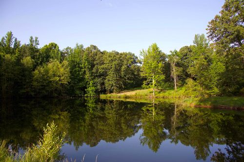 3015 Yager Dr, Moscow, TN, 38057 | Card Image