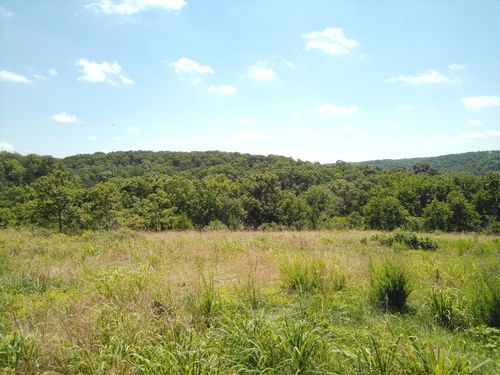 1029 Bear Hollow Rd, Pineville, MO, 64856-8208 | Card Image