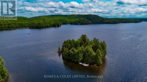 1117 Thunderbird Lane, Birch Island, Highlands East (Bicroft Ward), ON, K0L1M0 | Card Image