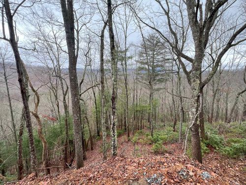 Lot Wesser Heights Road, Bryson City, NC, 28713 | Card Image