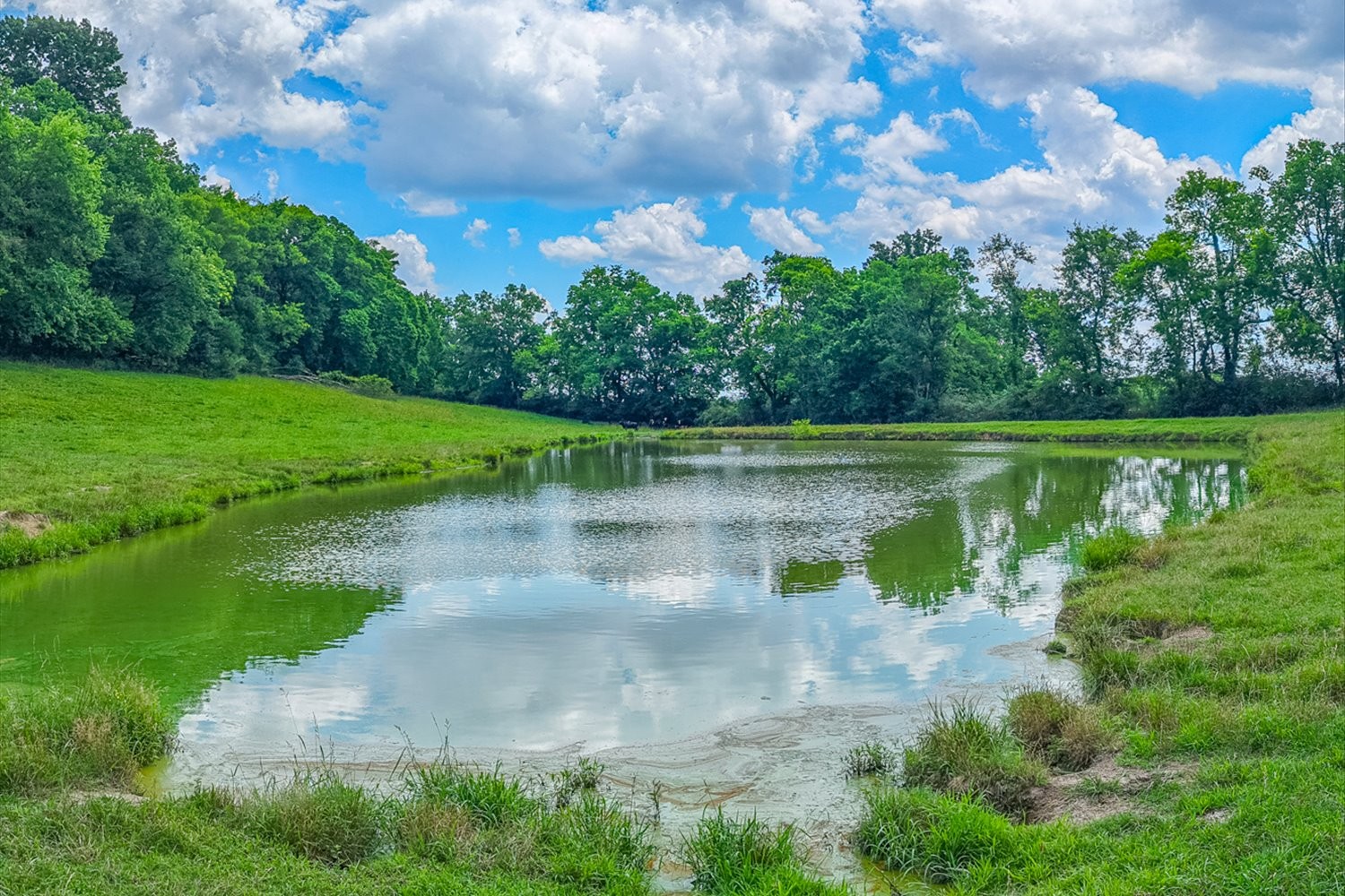 Land in Spring Hill 2
