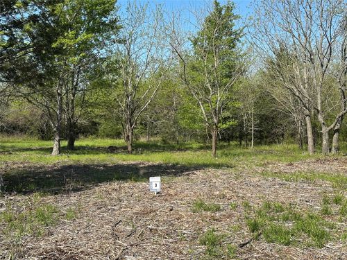 Tract 3 Farm To Market 1743, Honey Grove, TX, 75446 | Card Image