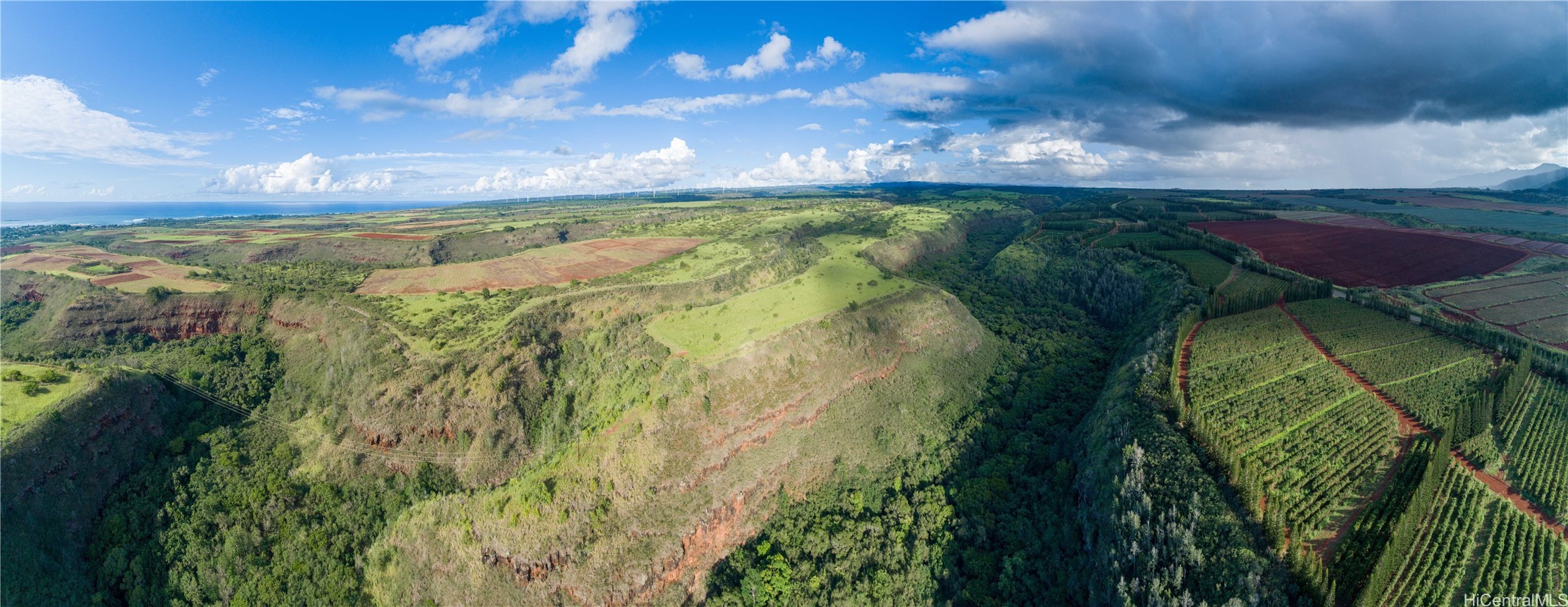 Land in Haleiwa 2