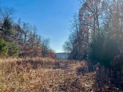 80+/- acres Lawrence Road 131 South, Black Rock, AR, 72415 | Card Image