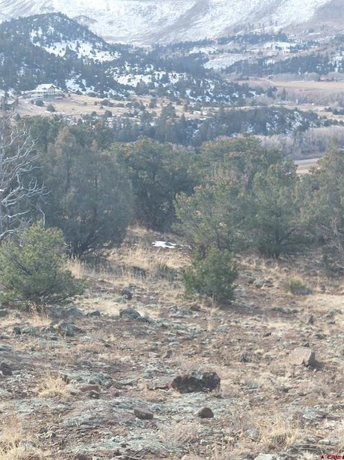 119 Cactus Rd, South Fork, CO, 81154 | Card Image