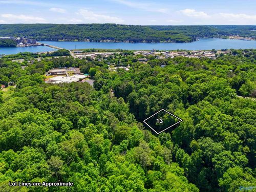 Lot 13 Lusk St, Guntersville, AL, 35976 | Card Image