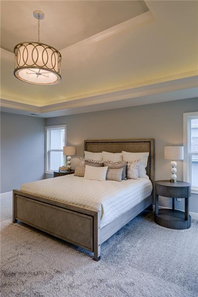Bedroom with carpet and a tray ceiling | Image 29