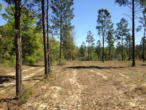 441 Ne Mango Ave, Lee, FL, 32059 | Card Image