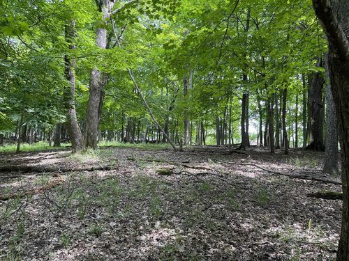 Lt 148 Pine Cone Lane, Woodland, WI, 53941 | Card Image