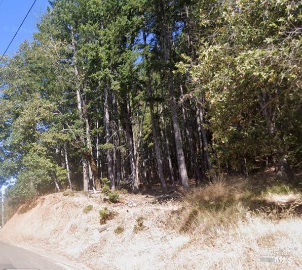 Land in Willits 4