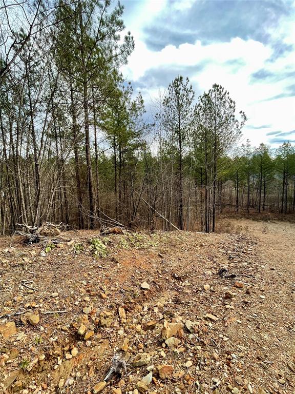 Land in Broken Bow 4