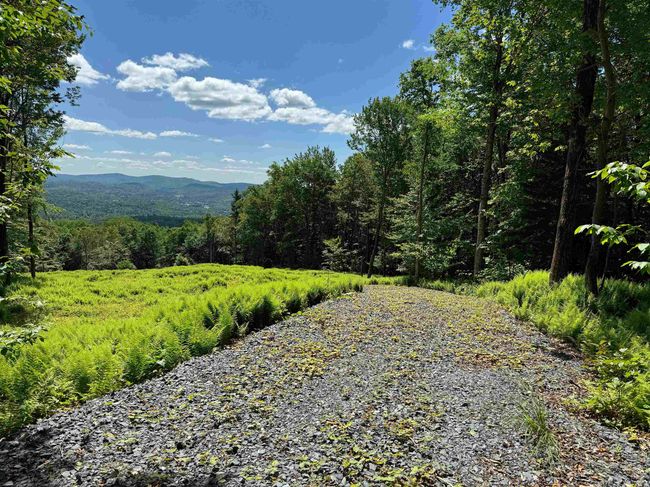 0 Spruce Grove Rd, Home with 0 bedrooms, 0 bathrooms and null parking in Wilmington VT | Image 11