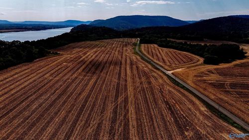 1100 Mccutcheon Loop Rd, Laceys Spring, AL, 35754 | Card Image