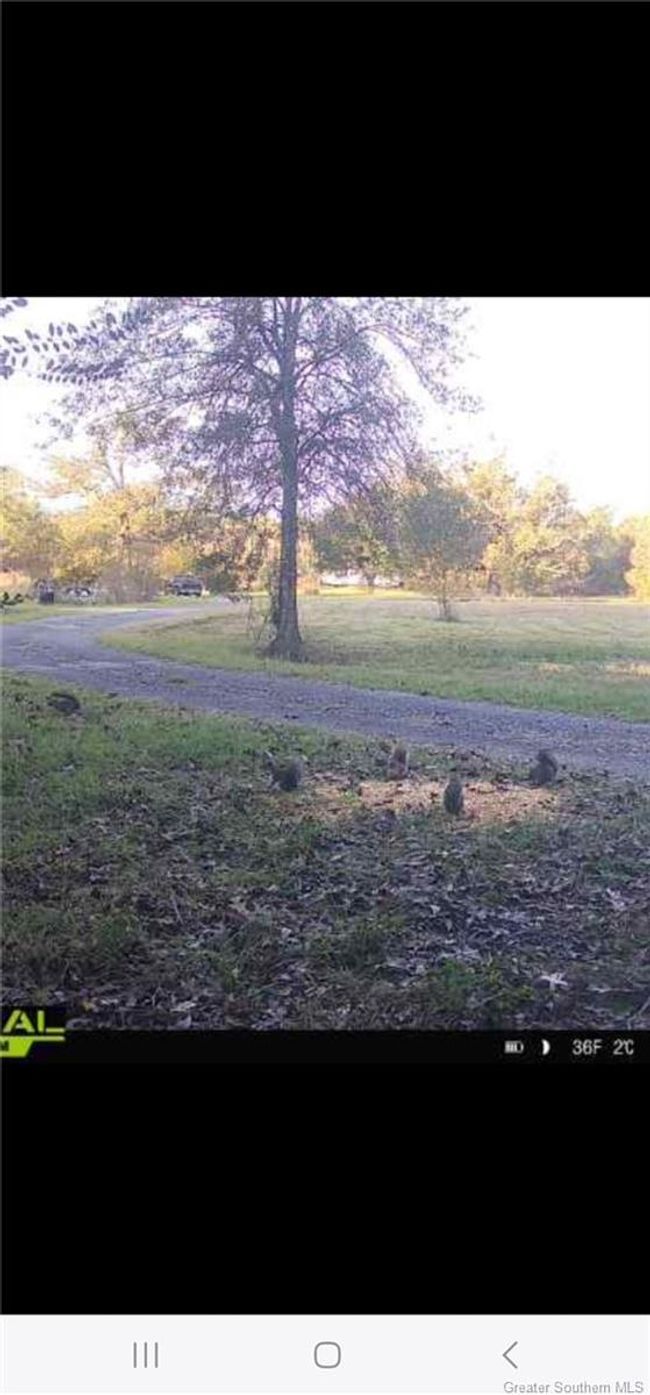 349 Roy Cooley Rd, House other with 3 bedrooms, 2 bathrooms and null parking in Deridder LA | Image 21