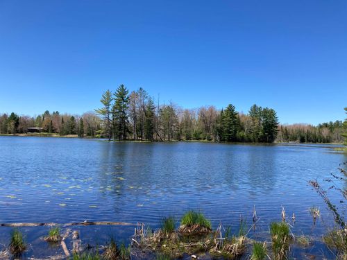 V/L Doll, Rose Township, MI, 48635 | Card Image