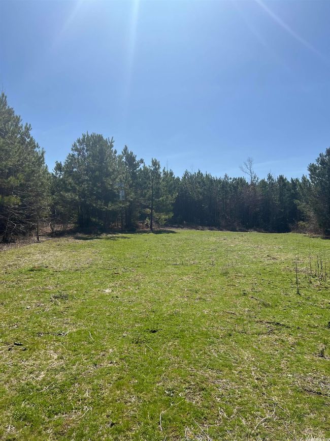 00 Nevada County 175 Road, Home with 0 bedrooms, 0 bathrooms and null parking in Rosston AR | Image 22