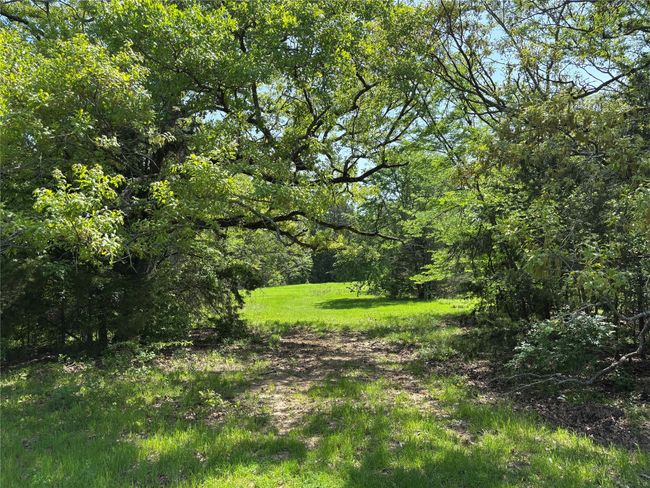 View of nature with a forest view | Image 7