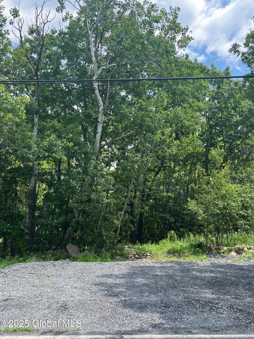 41 N Mansion Rd, Duanesburg, NY, 12056 | Card Image