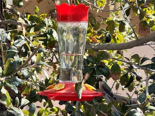 4917 Sevier Desert St, North Las Vegas, NV, 89081-3004 | Card Image