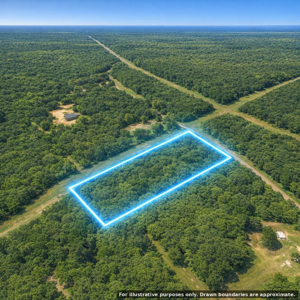 Land in Big Sandy 5