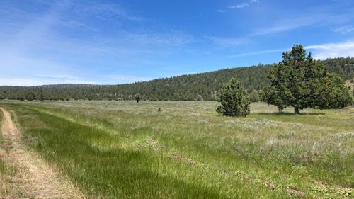 NSA Loomis Cabin Rd, Mcarthur, CA, 96056 | Card Image