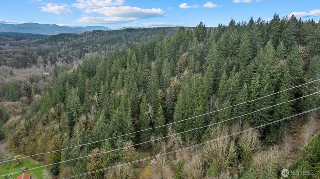 7801 Tolt River Rd Ne, Home with 0 bedrooms, 0 bathrooms and null parking in Carnation WA | Image 15