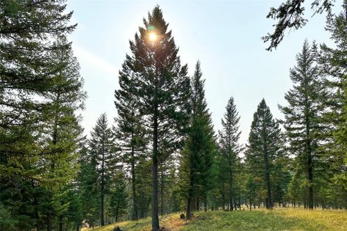 lot-2a-30 Fortine Creek Road, Trego, MT, 59934 | Card Image