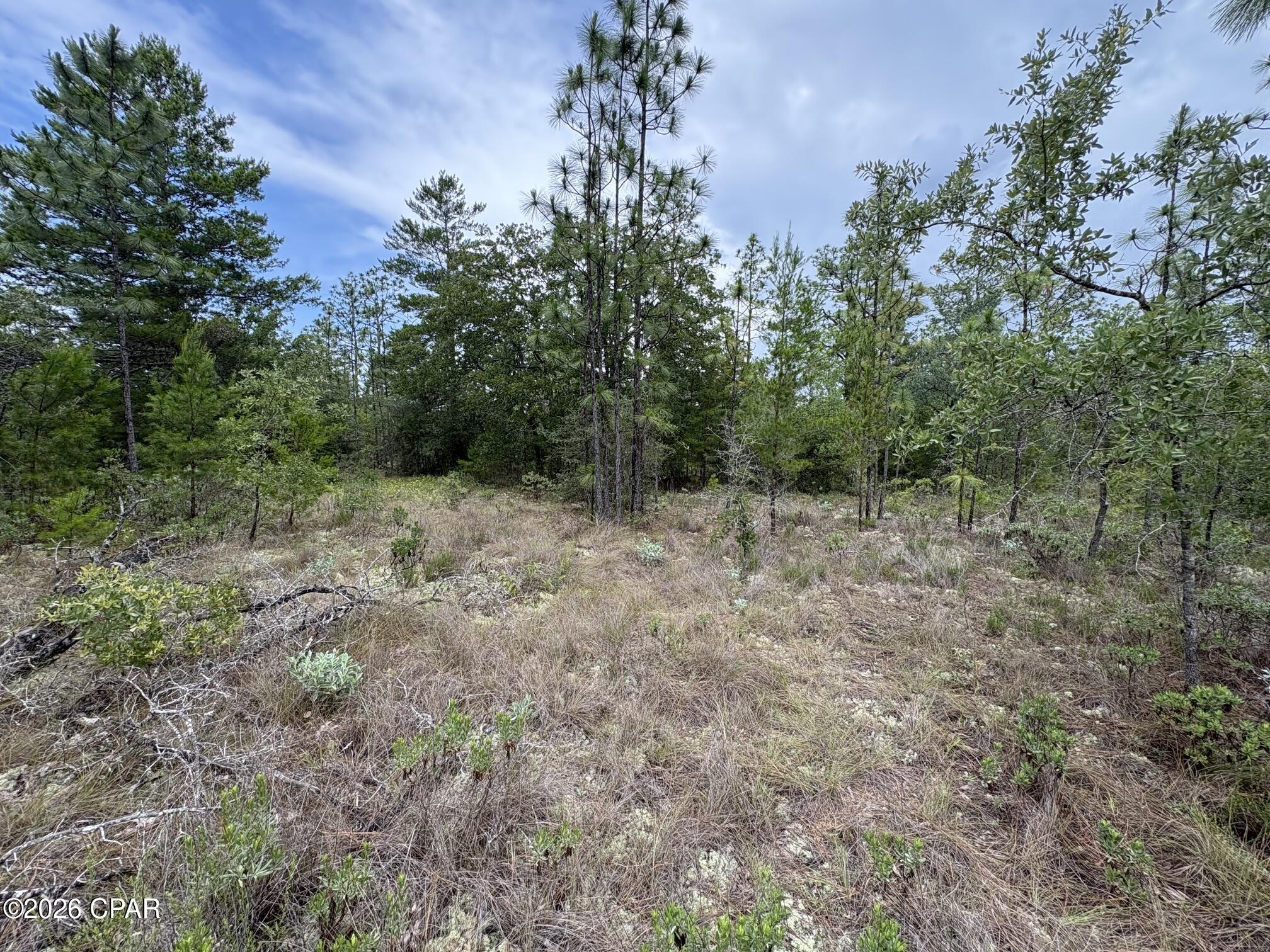 Land in Chipley 5