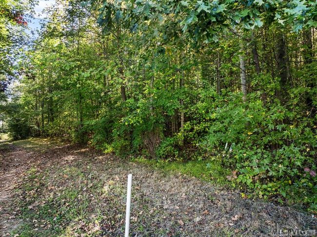 000 2 Nd Ave, Home with 0 bedrooms, 0 bathrooms and null parking in Lawrenceville VA | Image 5