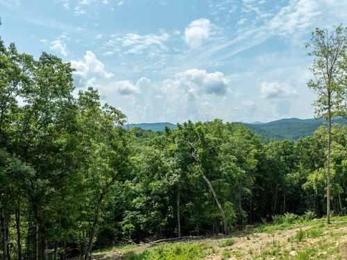Lt175 Cross St, Blue Ridge, GA, 30513 | Card Image